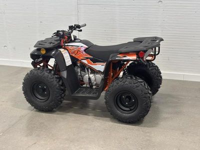 2025 Kayo Bull 110 - Photo 12
