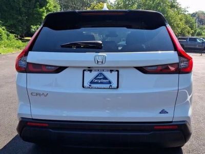 2024 Honda CR-V — detail view