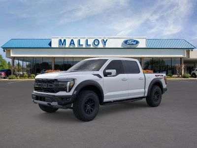 2025 Ford F-150 - Photo 29