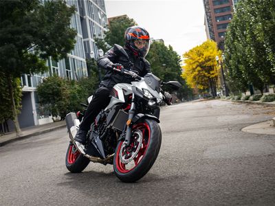 2026 Kawasaki Z500 SE ABS - Photo 18