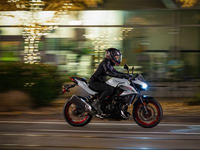 2026 Kawasaki Z500 SE ABS - Photo 21