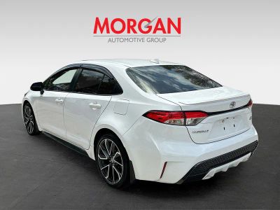 2020 Toyota Corolla — detail view
