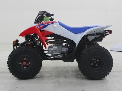 2026 Honda TRX250X - Photo 4