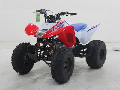 2026 Honda TRX250X - Photo 3