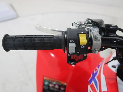 2026 Honda TRX250X - Photo 12