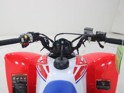 2026 Honda TRX250X - Photo 13