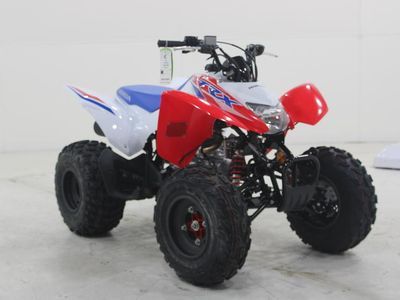 2026 Honda TRX250X - Photo 1