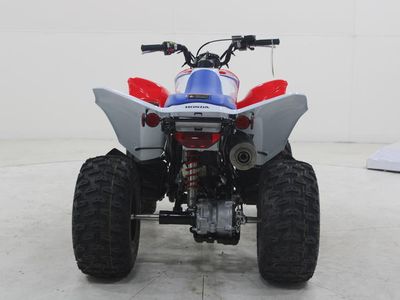 2026 Honda TRX250X - Photo 6