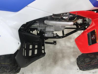 2026 Honda TRX250X - Photo 9
