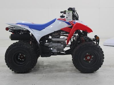 2026 Honda TRX250X - Photo 8