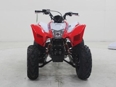 2026 Honda TRX250X - Photo 2