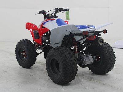 2026 Honda TRX250X - Photo 5