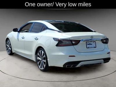 2023 Nissan Maxima — side profile view
