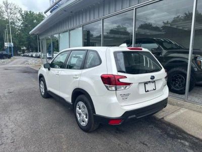 2023 Subaru Forester — interior view