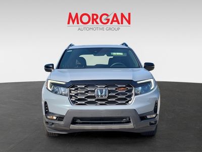 2023 Honda Passport — side profile view