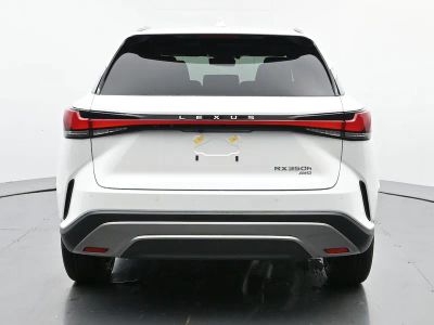 2025 Lexus RX - Photo 4
