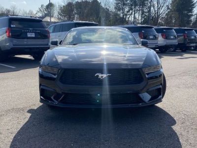 2026 Ford Mustang — photo 8 view