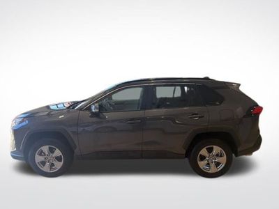 2025 Toyota RAV4 XLE - Photo 3