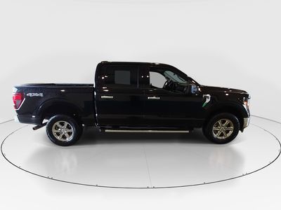 2025 Ford F-150 — photo 8 view