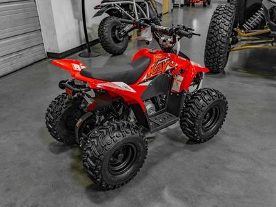 2025 Kayo Fox / Storm 70 - Photo 4