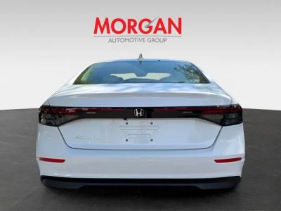 2026 Honda Accord — detail view