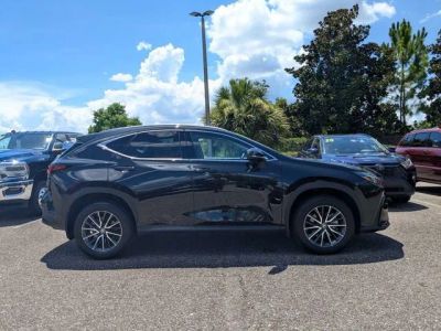 2024 Lexus NX — side profile view