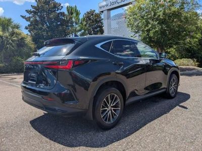 2024 Lexus NX — rear three-quarter view