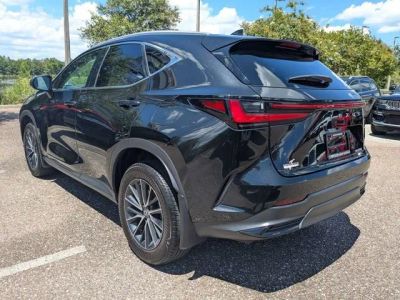 2024 Lexus NX — detail view