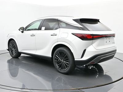 2025 Lexus RX - Photo 3