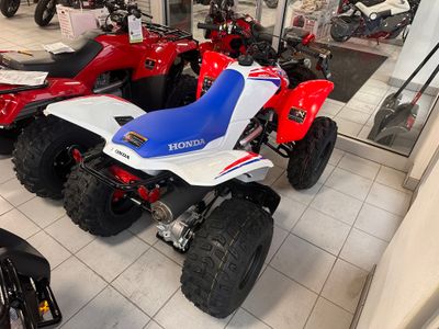 2026 Honda TRX250X - Photo 4