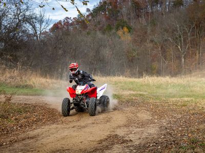 2026 Honda TRX250X - Photo 20