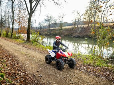 2026 Honda TRX250X - Photo 22