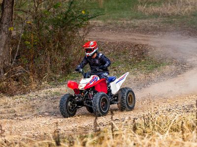 2026 Honda TRX250X - Photo 17