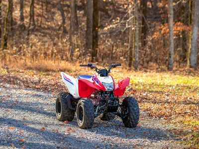 2026 Honda TRX250X - Photo 19