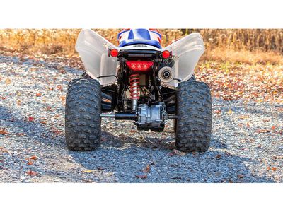 2026 Honda TRX250X - Photo 13