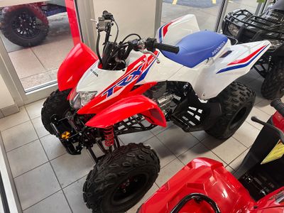 2026 Honda TRX250X - Photo 2