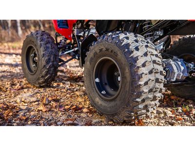2026 Honda TRX250X - Photo 11