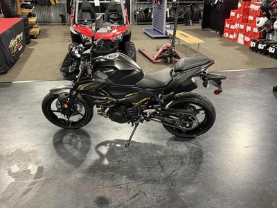 2026 Kawasaki Z500 ABS — photo 8 view