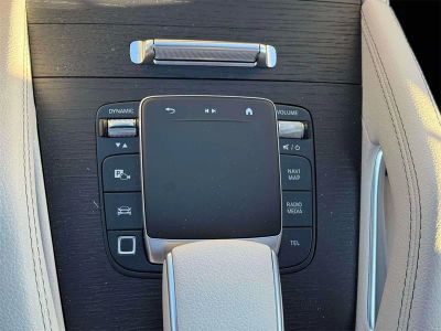 2025 Mercedes-Benz GLS - Photo 30