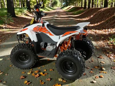 2025 Kayo Storm 70 - Photo 4