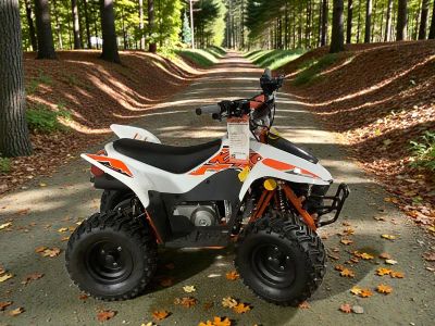 2025 Kayo Storm 70 - Photo 2