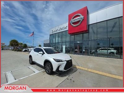 2023 Lexus NX 250 Base in White — front three-quarter view