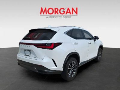 2023 Lexus NX — interior view