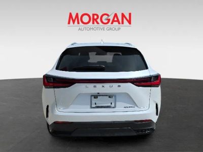 2023 Lexus NX — detail view