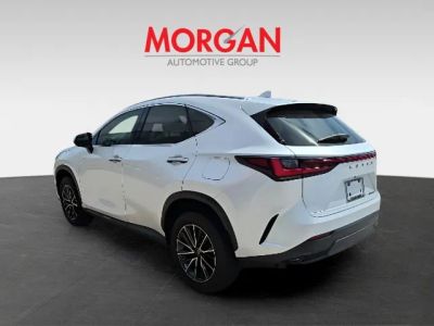 2023 Lexus NX — engine compartment view