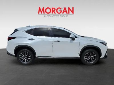 2023 Lexus NX — rear three-quarter view
