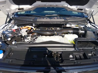 2024 Ford F-150 — photo 9 view