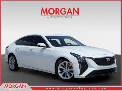 2025 Cadillac CT5 Premium Luxury in Summit White — front three-quarter view