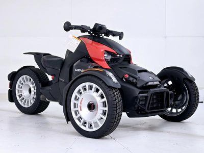 2025 Can-Am Ryker Rally - Photo 2