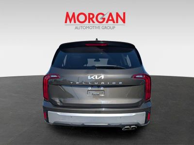 2023 Kia Telluride — detail view